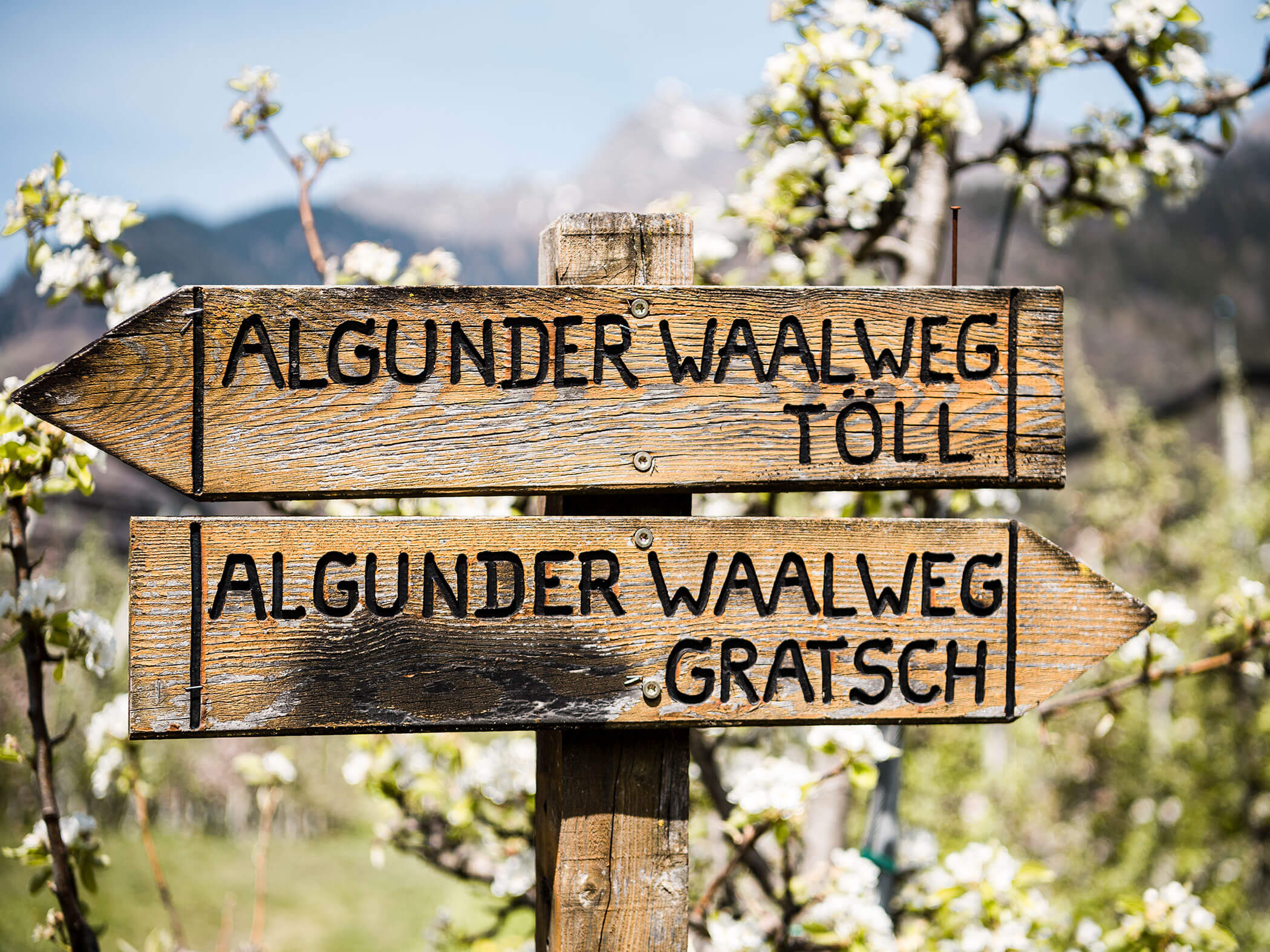 Cartello escursionistico