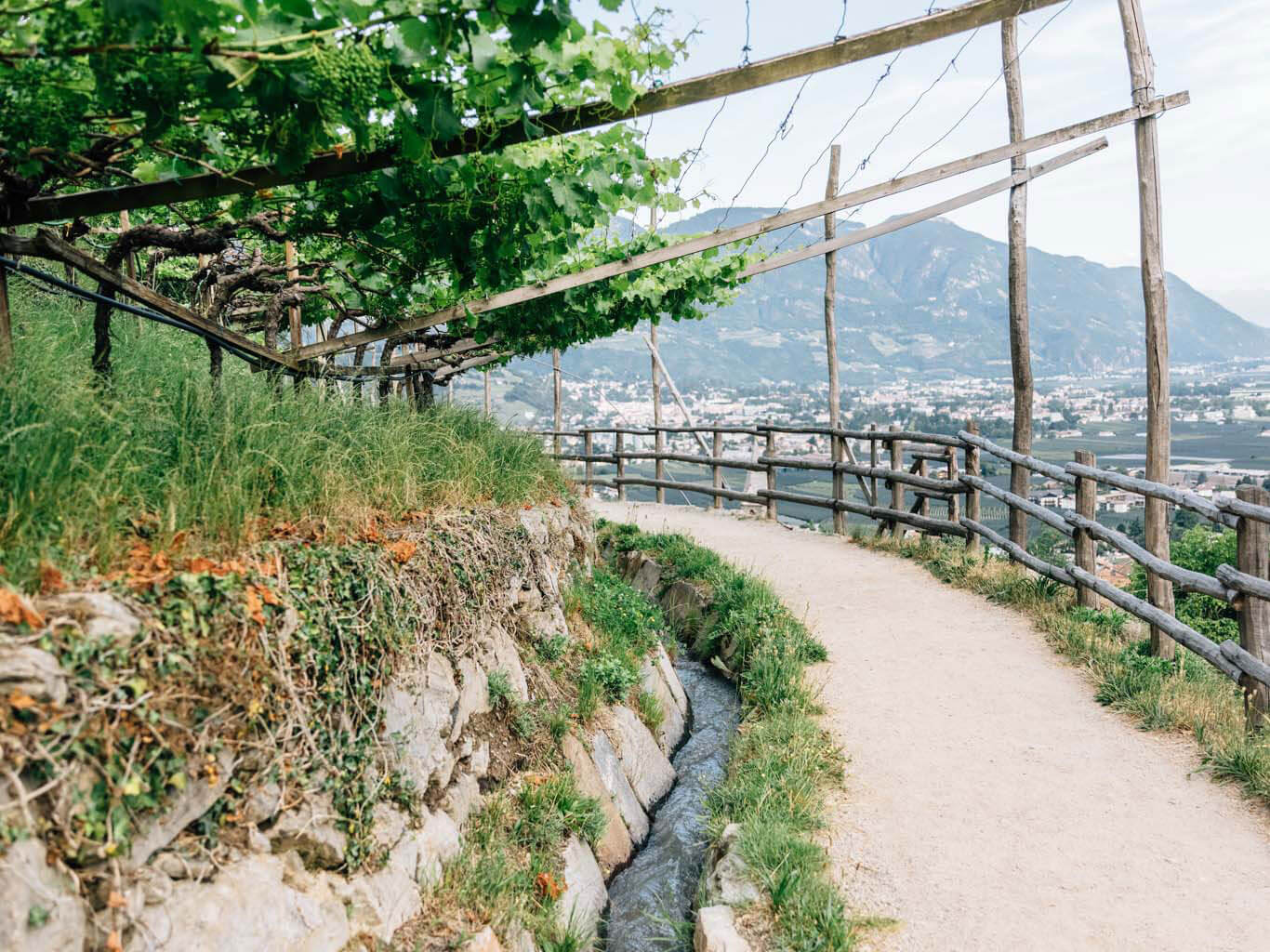 Sentiero delle rogge