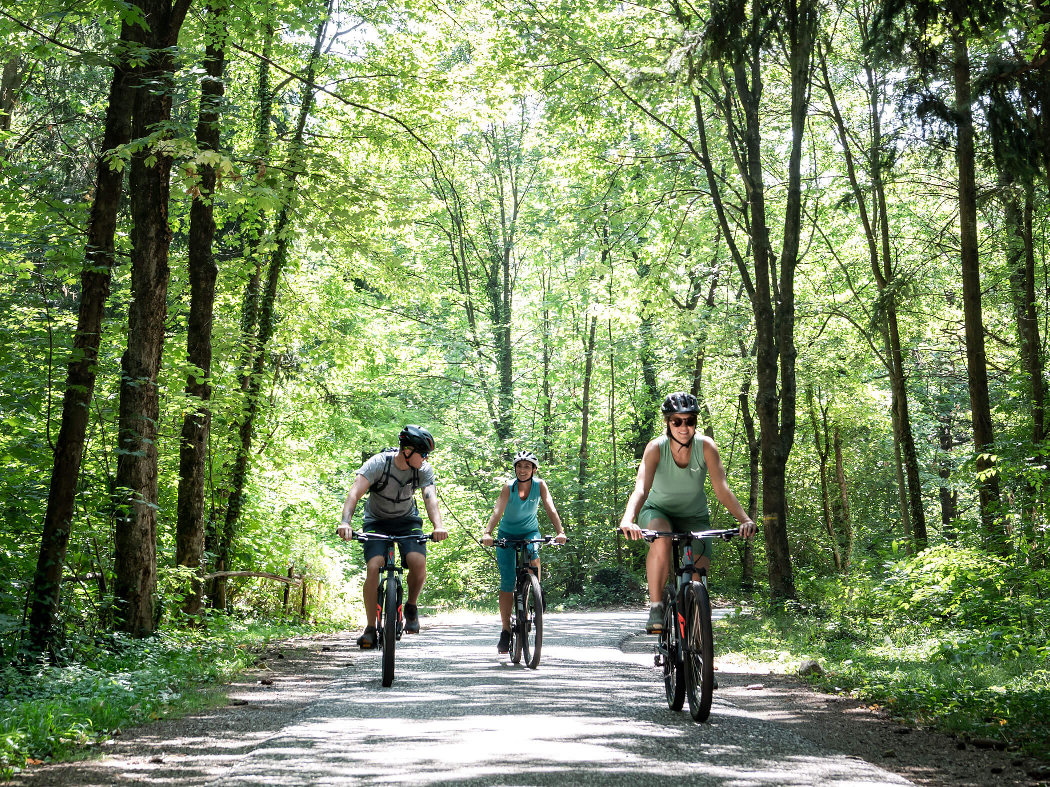 In bicicletta nella foresta
