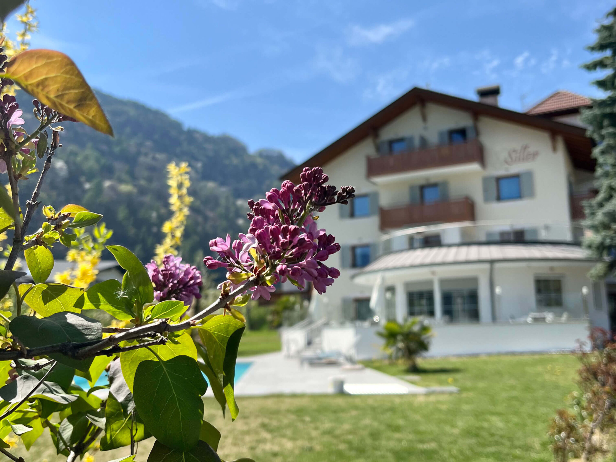 Blumen mit Pension im Hintergrund